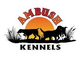 Ambush Kennels